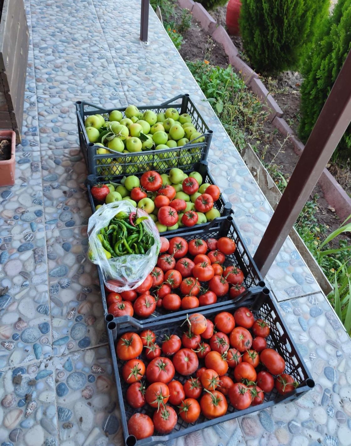 Hobi Bahçesi 13